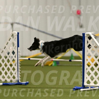 Keeper-Laurie-Wischt-03606