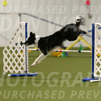 Keeper-Laurie-Wischt-03607