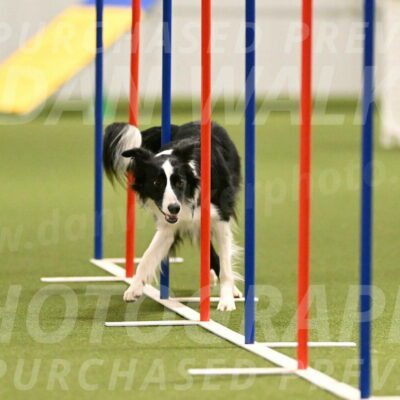 Keeper-Laurie-Wischt-03608