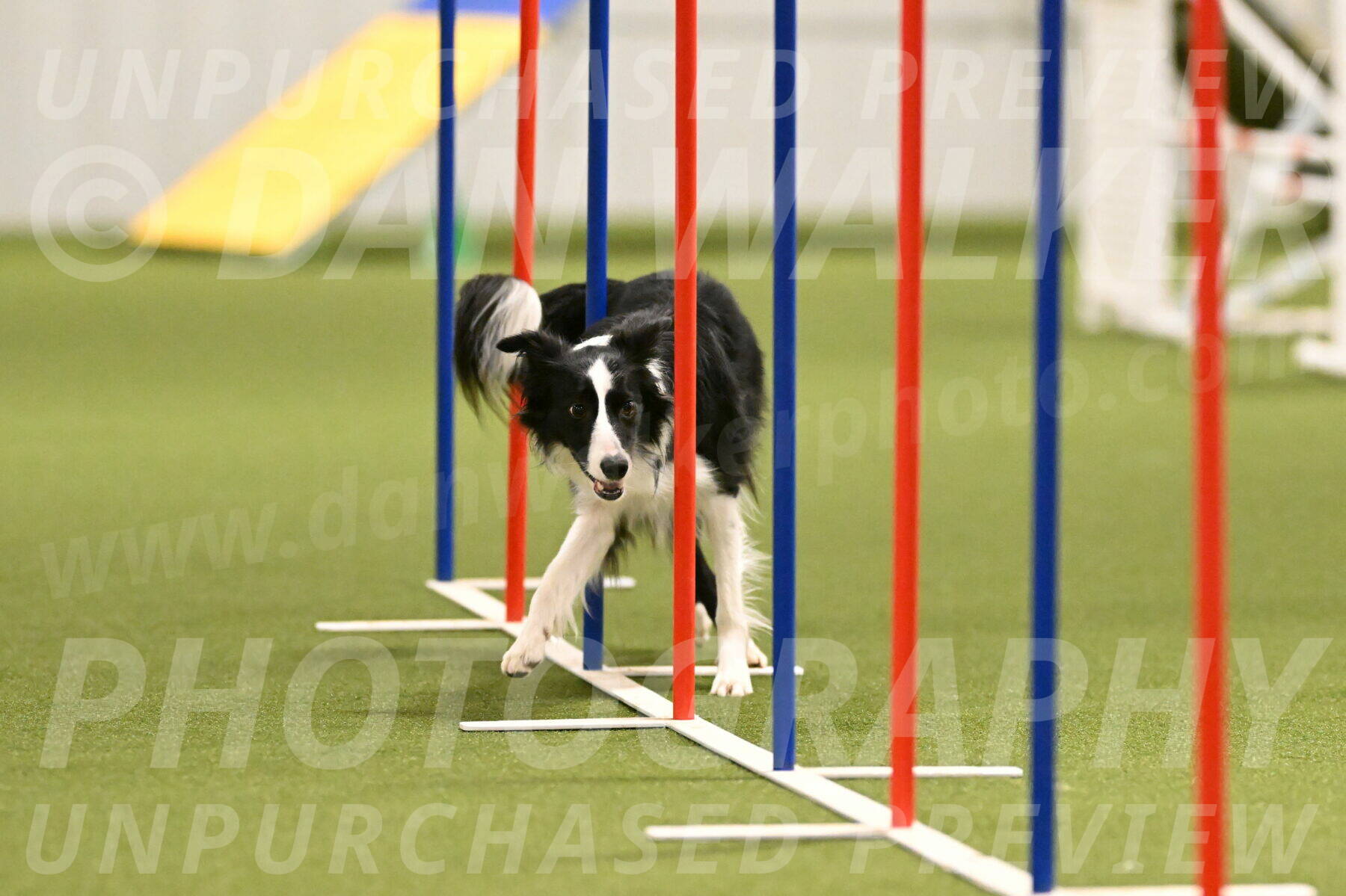 Keeper-Laurie-Wischt-03608