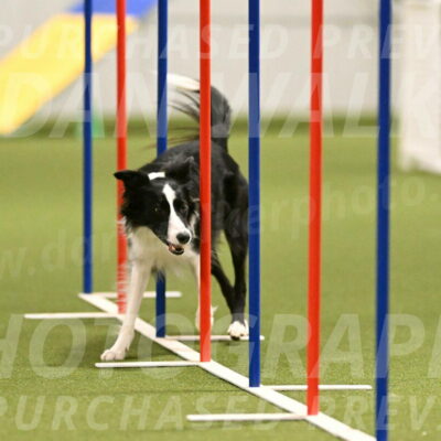 Keeper-Laurie-Wischt-03609