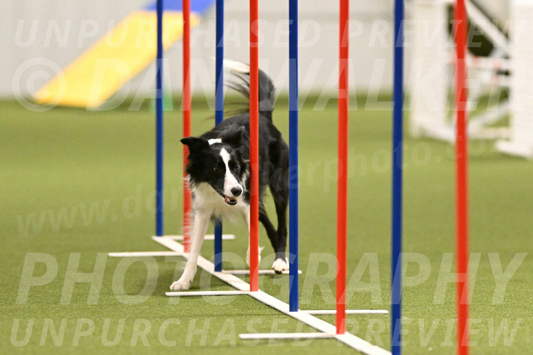 Keeper-Laurie-Wischt-03609