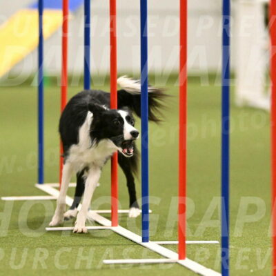 Keeper-Laurie-Wischt-03610