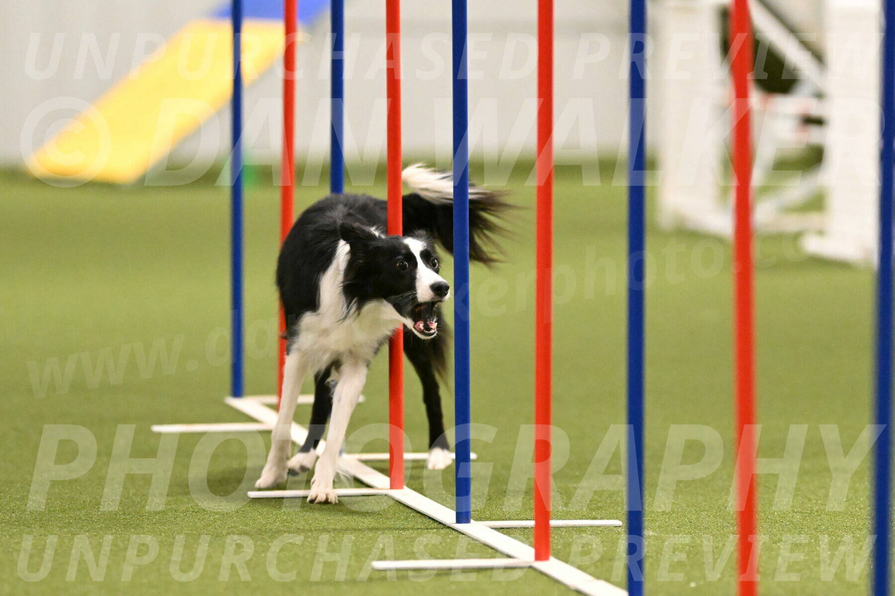 Keeper-Laurie-Wischt-03610