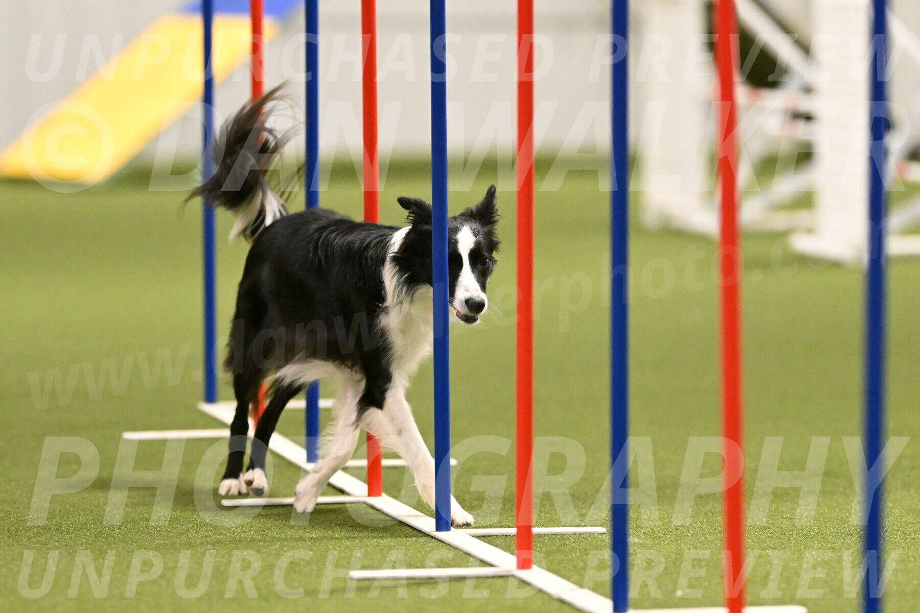 Keeper-Laurie-Wischt-03611