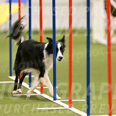 Keeper-Laurie-Wischt-03611