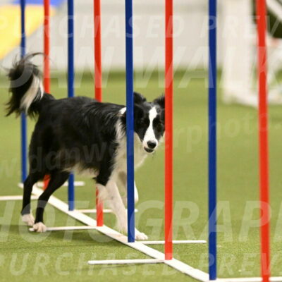 Keeper-Laurie-Wischt-03612