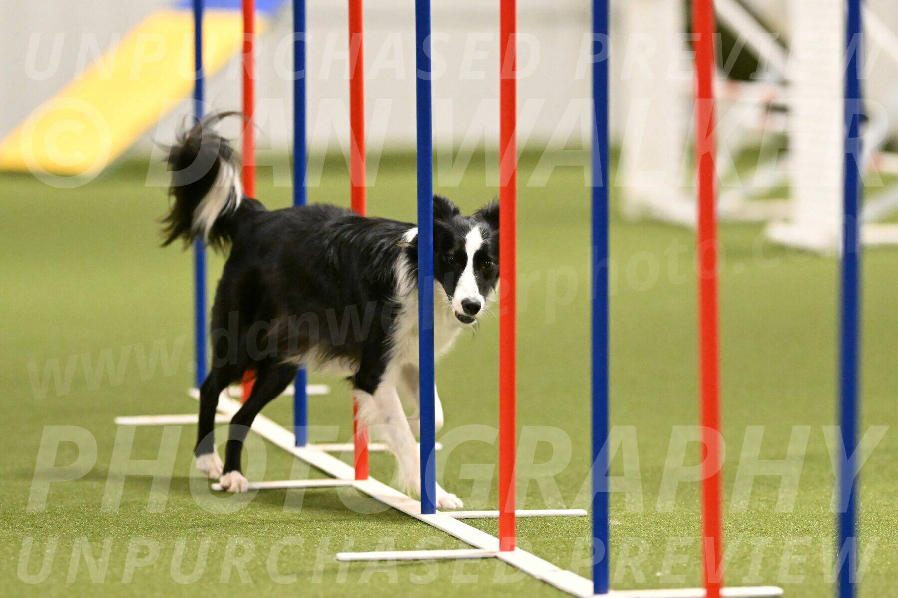 Keeper-Laurie-Wischt-03612