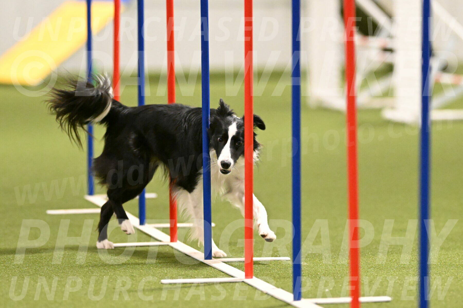 Keeper-Laurie-Wischt-03613