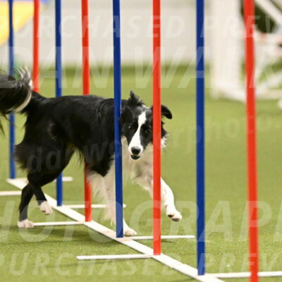 Keeper-Laurie-Wischt-03613