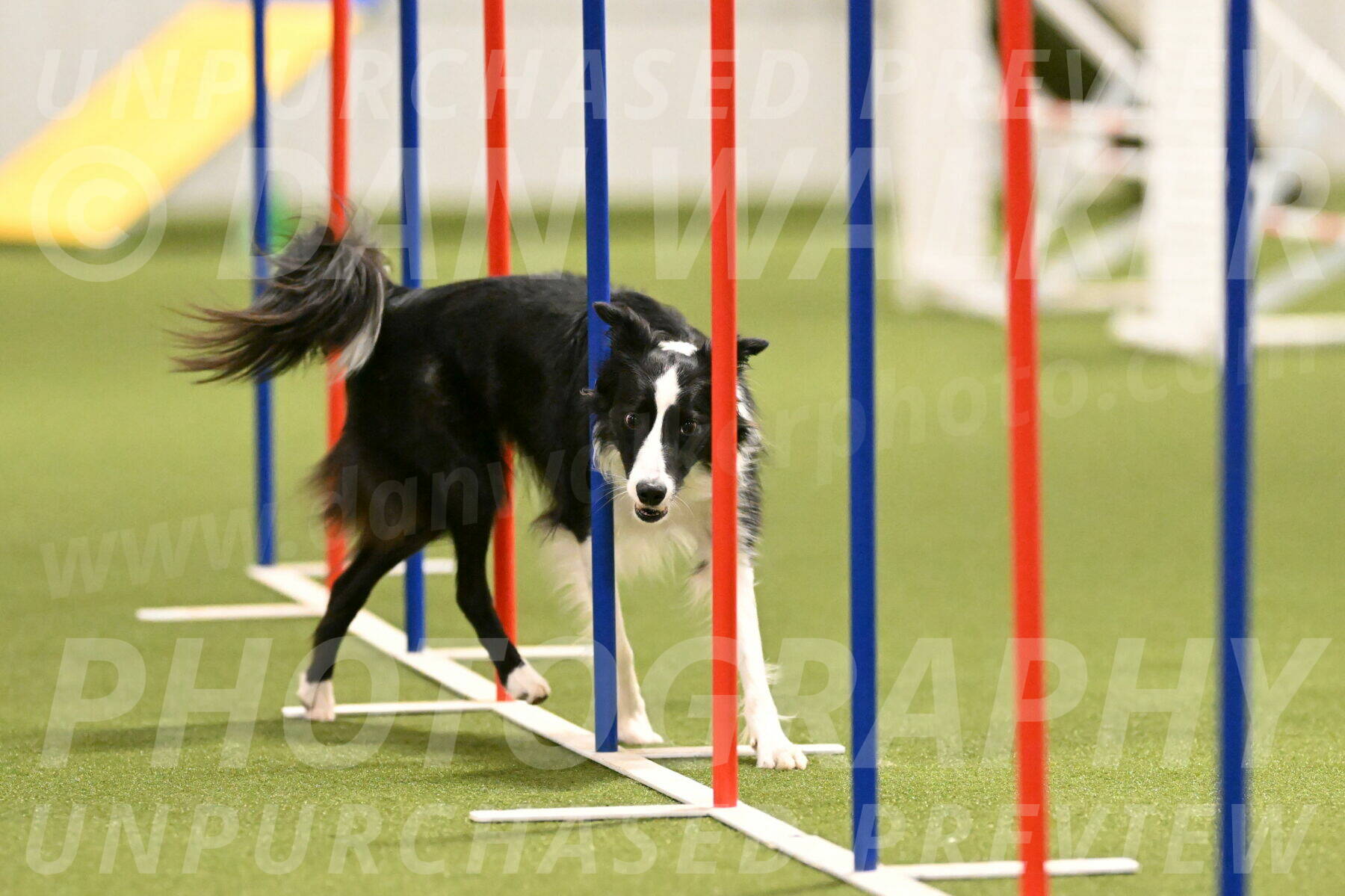 Keeper-Laurie-Wischt-03614