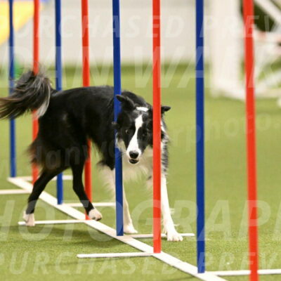 Keeper-Laurie-Wischt-03614