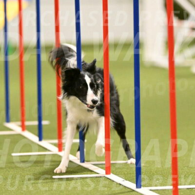 Keeper-Laurie-Wischt-03615