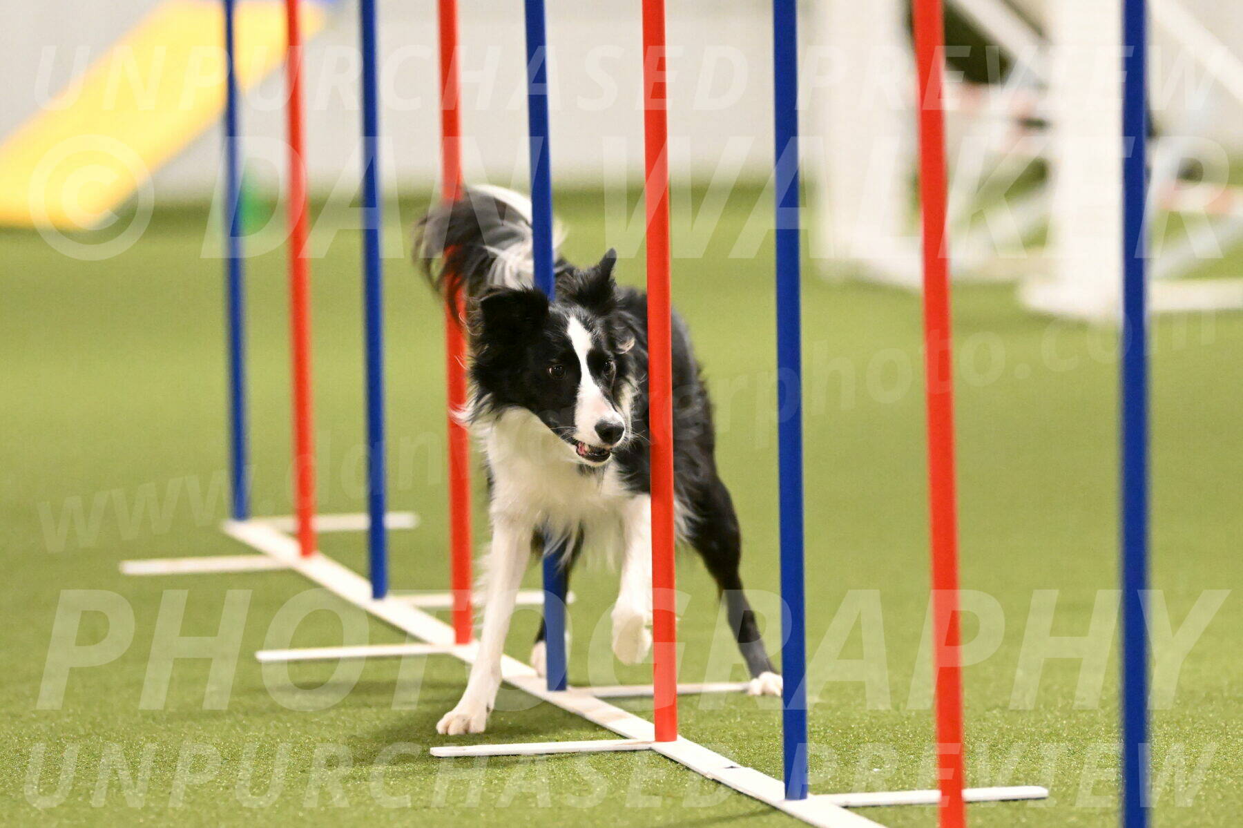 Keeper-Laurie-Wischt-03615