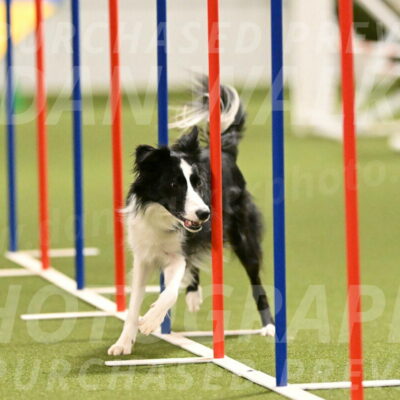 Keeper-Laurie-Wischt-03616