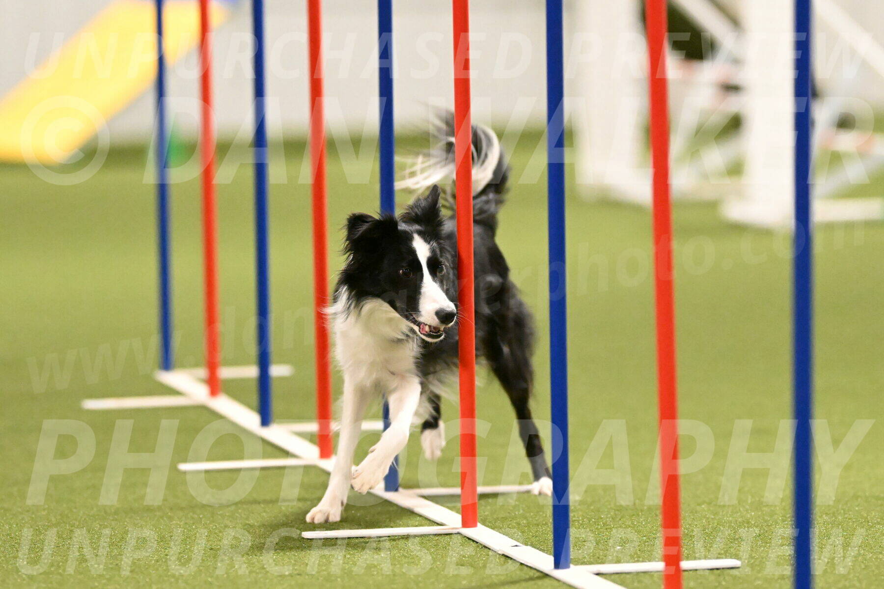 Keeper-Laurie-Wischt-03616