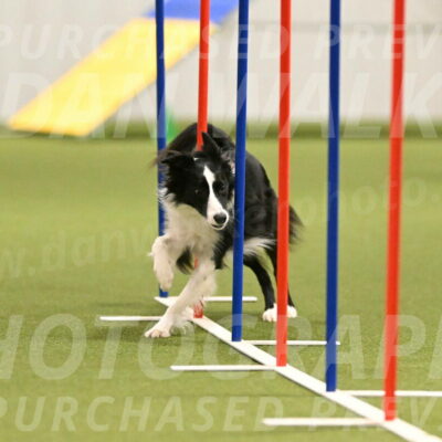 Keeper-Laurie-Wischt-03617