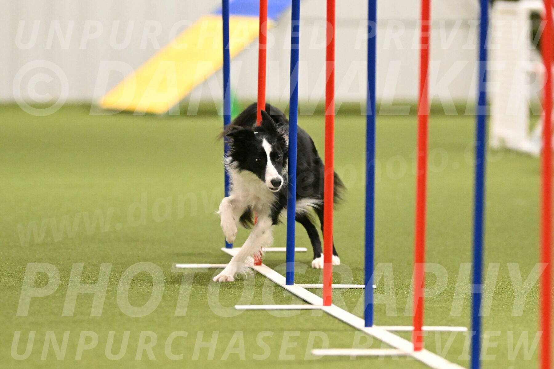 Keeper-Laurie-Wischt-03617