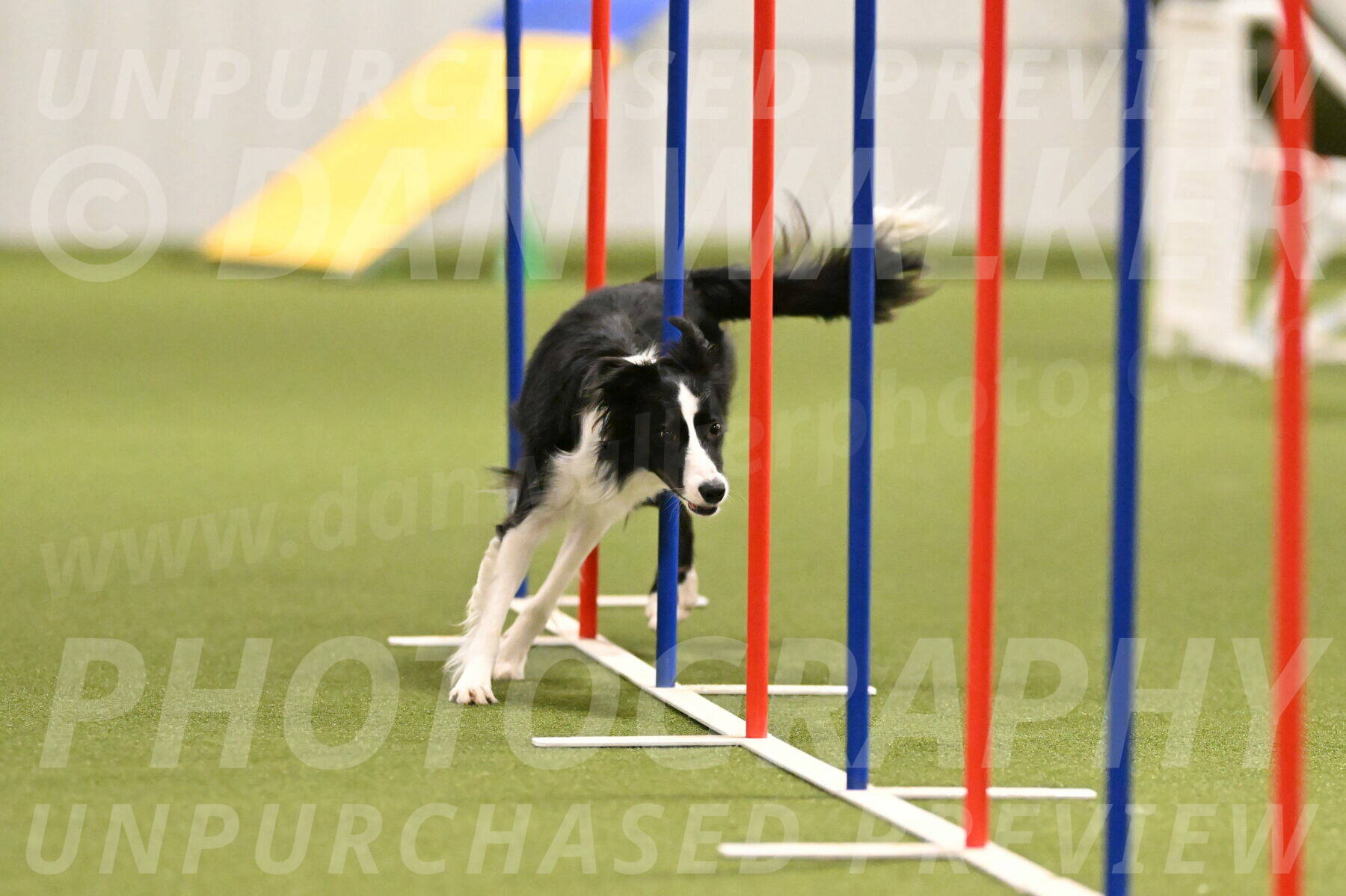 Keeper-Laurie-Wischt-03618