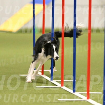 Keeper-Laurie-Wischt-03618