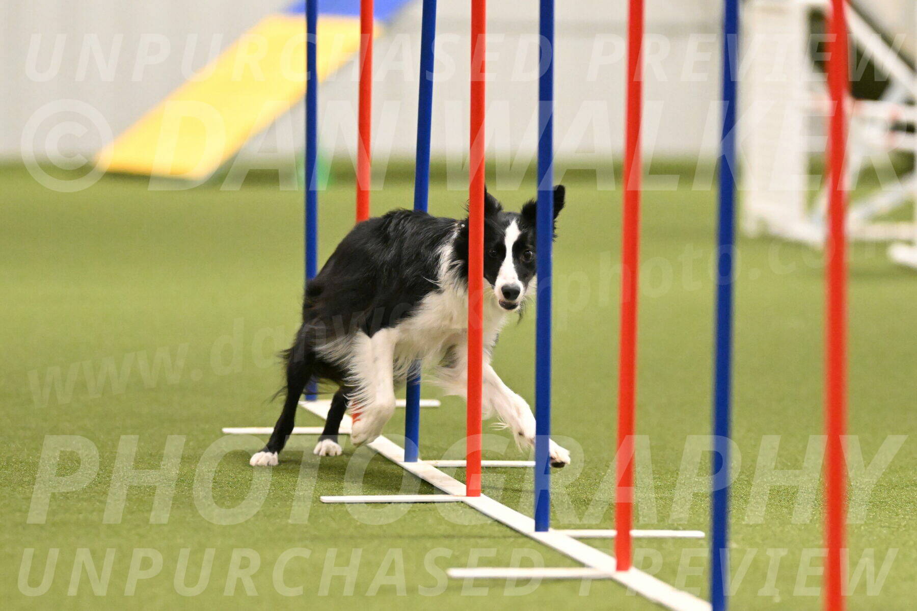 Keeper-Laurie-Wischt-03619