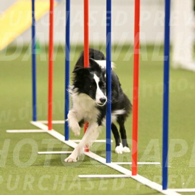 Keeper-Laurie-Wischt-03620