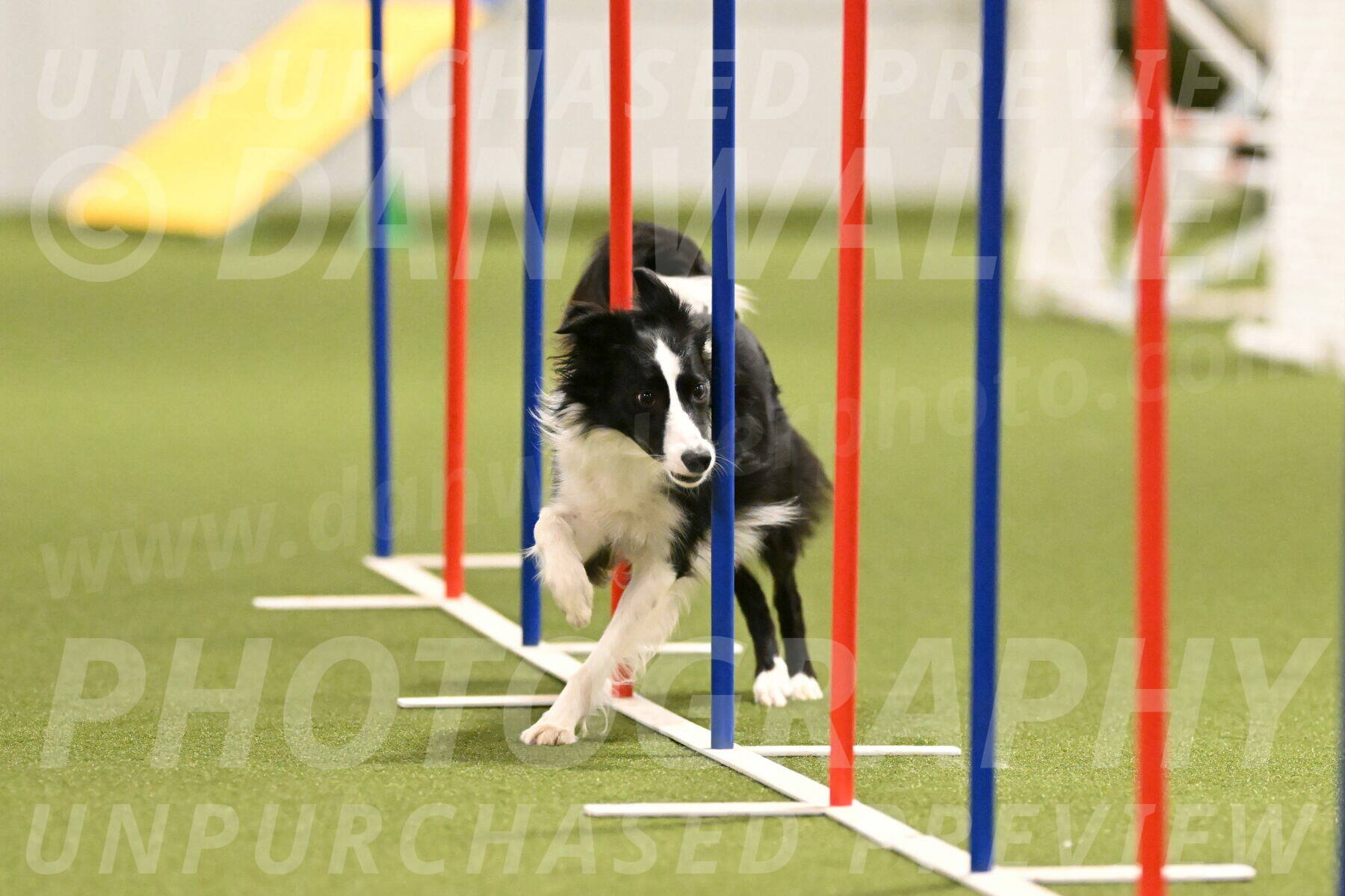 Keeper-Laurie-Wischt-03620