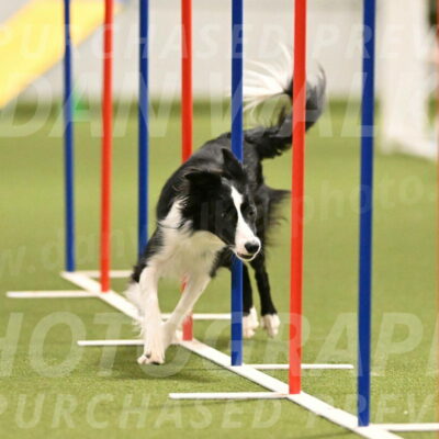 Keeper-Laurie-Wischt-03621