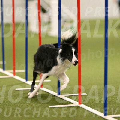 Keeper-Laurie-Wischt-03622