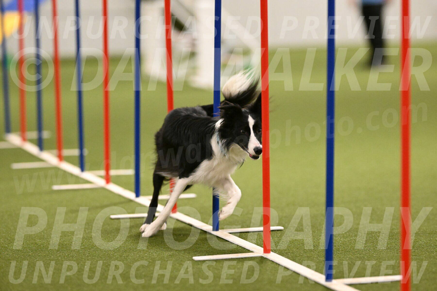 Keeper-Laurie-Wischt-03622