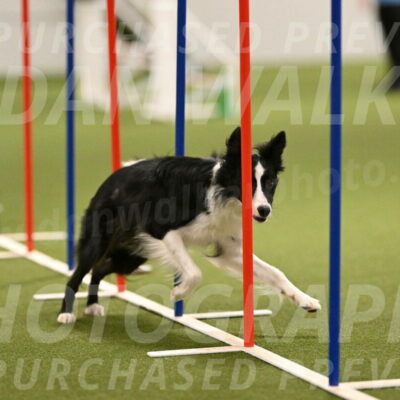 Keeper-Laurie-Wischt-03623