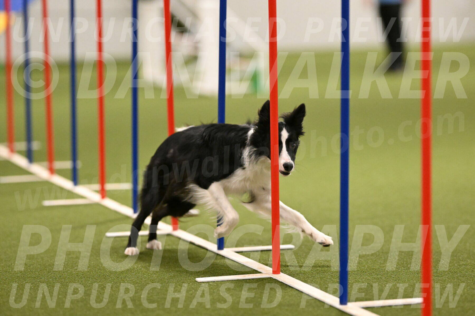 Keeper-Laurie-Wischt-03623