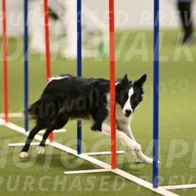 Keeper-Laurie-Wischt-03624