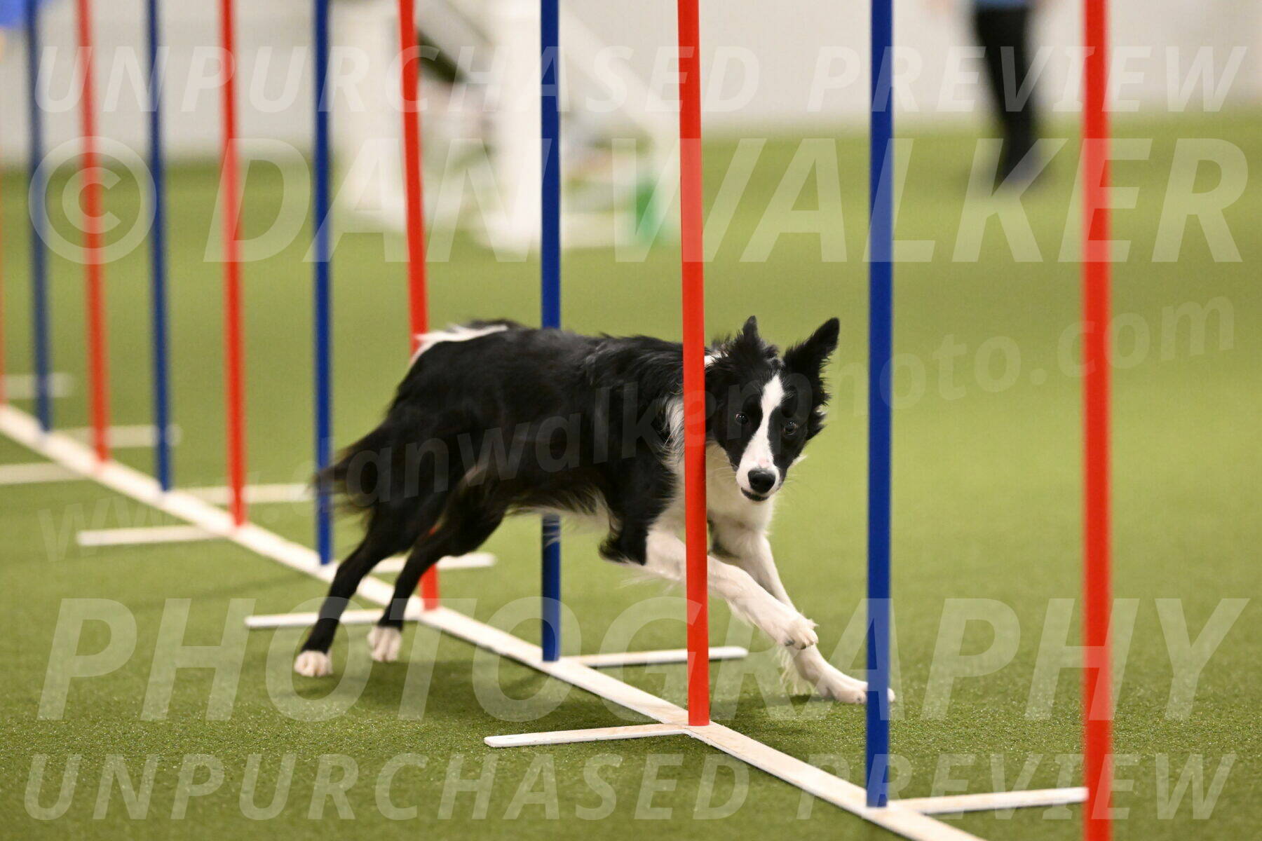 Keeper-Laurie-Wischt-03624