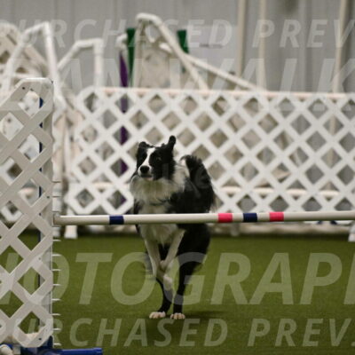 Keeper-Laurie-Wischt-03625