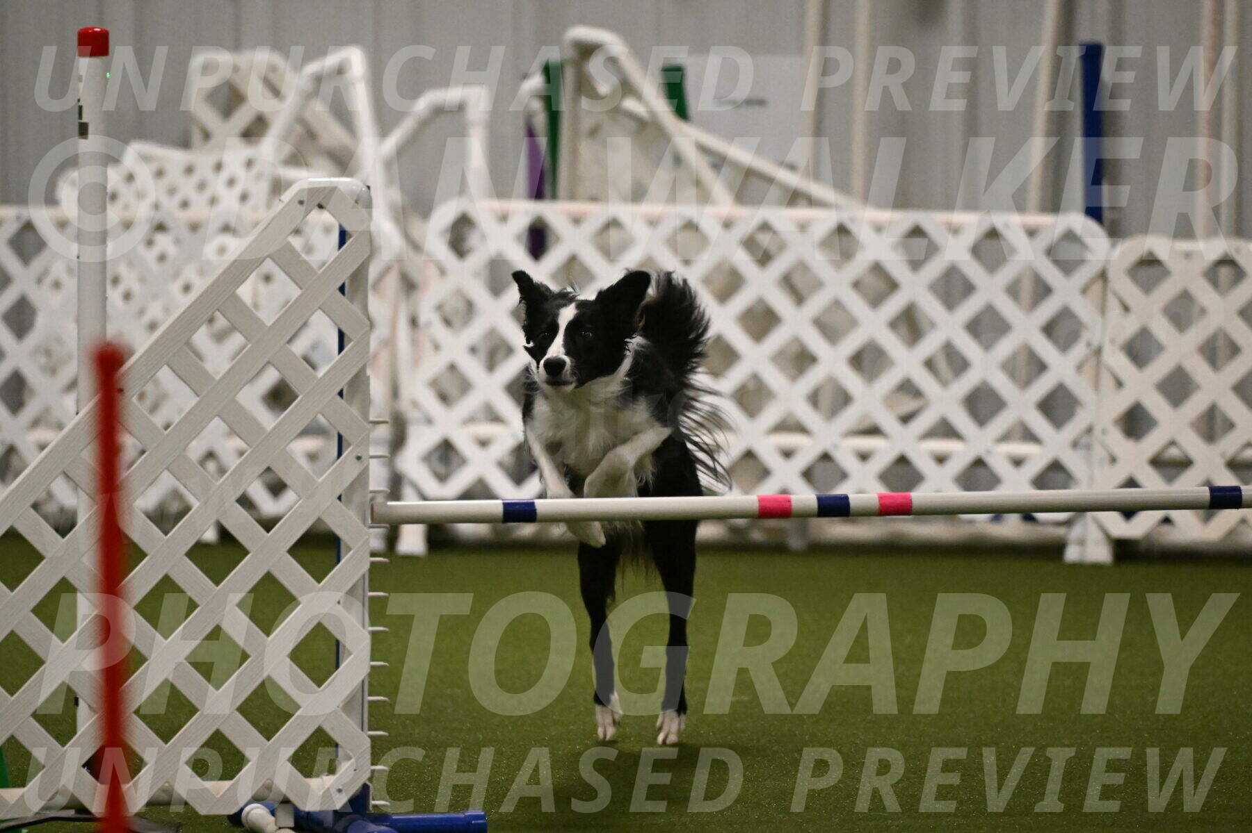 Keeper-Laurie-Wischt-03626