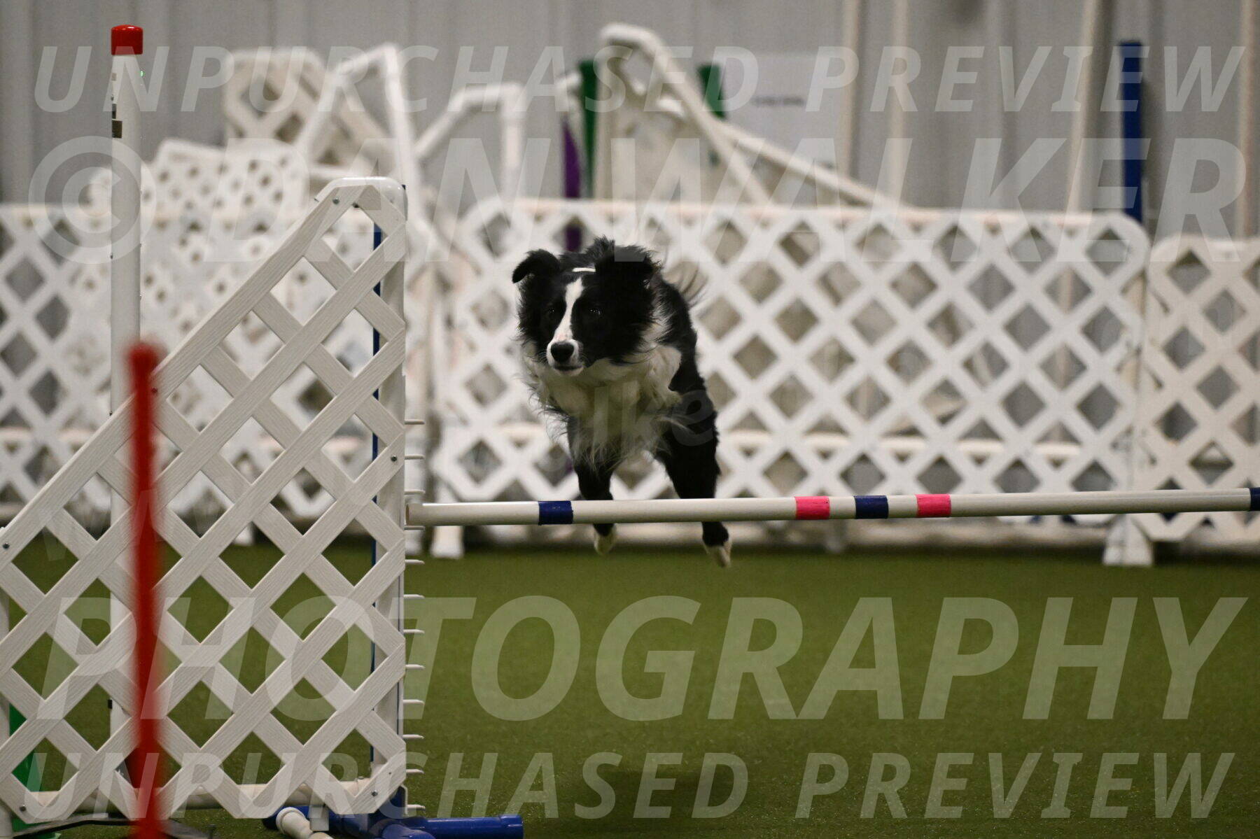 Keeper-Laurie-Wischt-03627