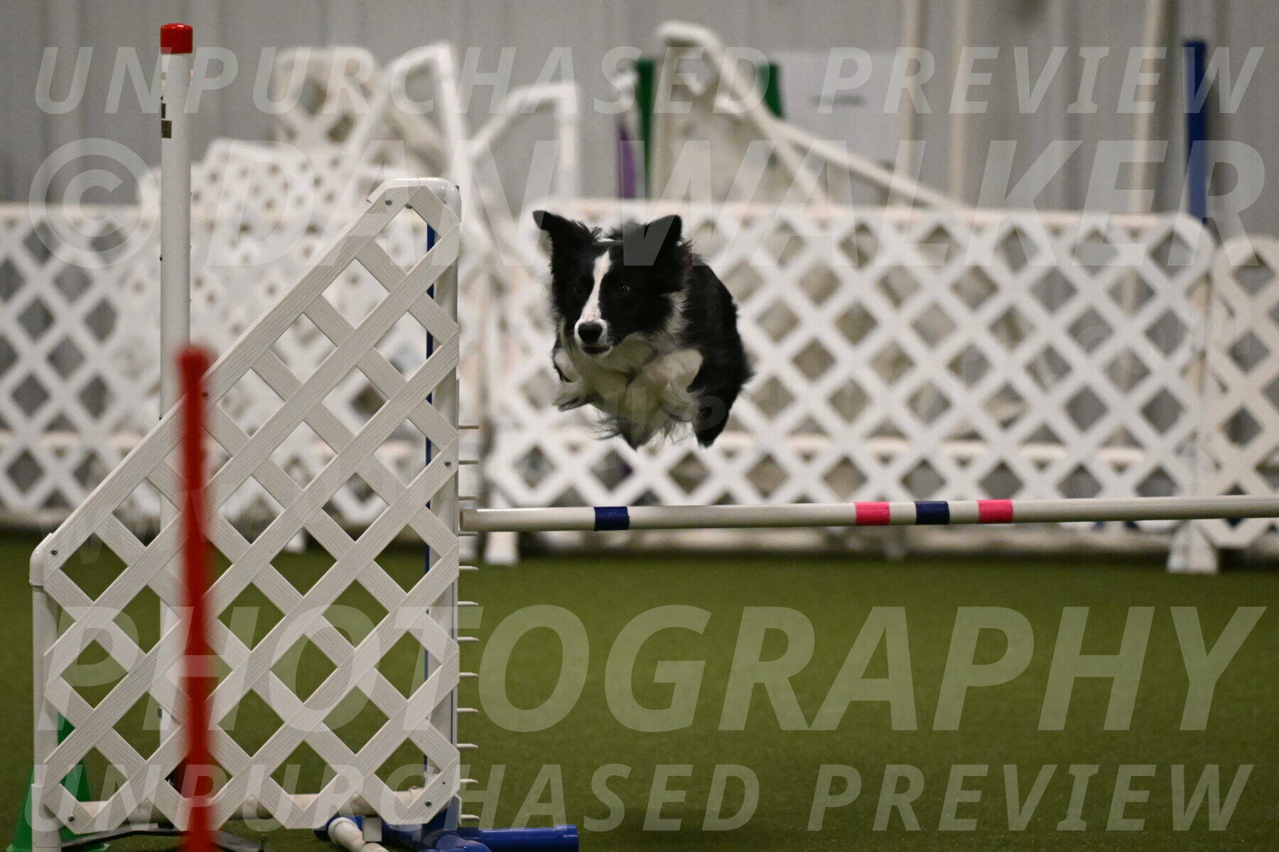 Keeper-Laurie-Wischt-03628