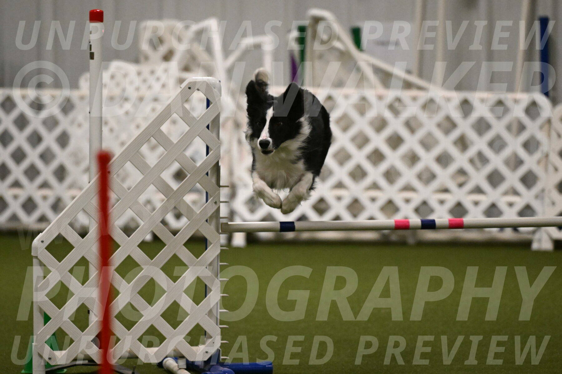 Keeper-Laurie-Wischt-03629