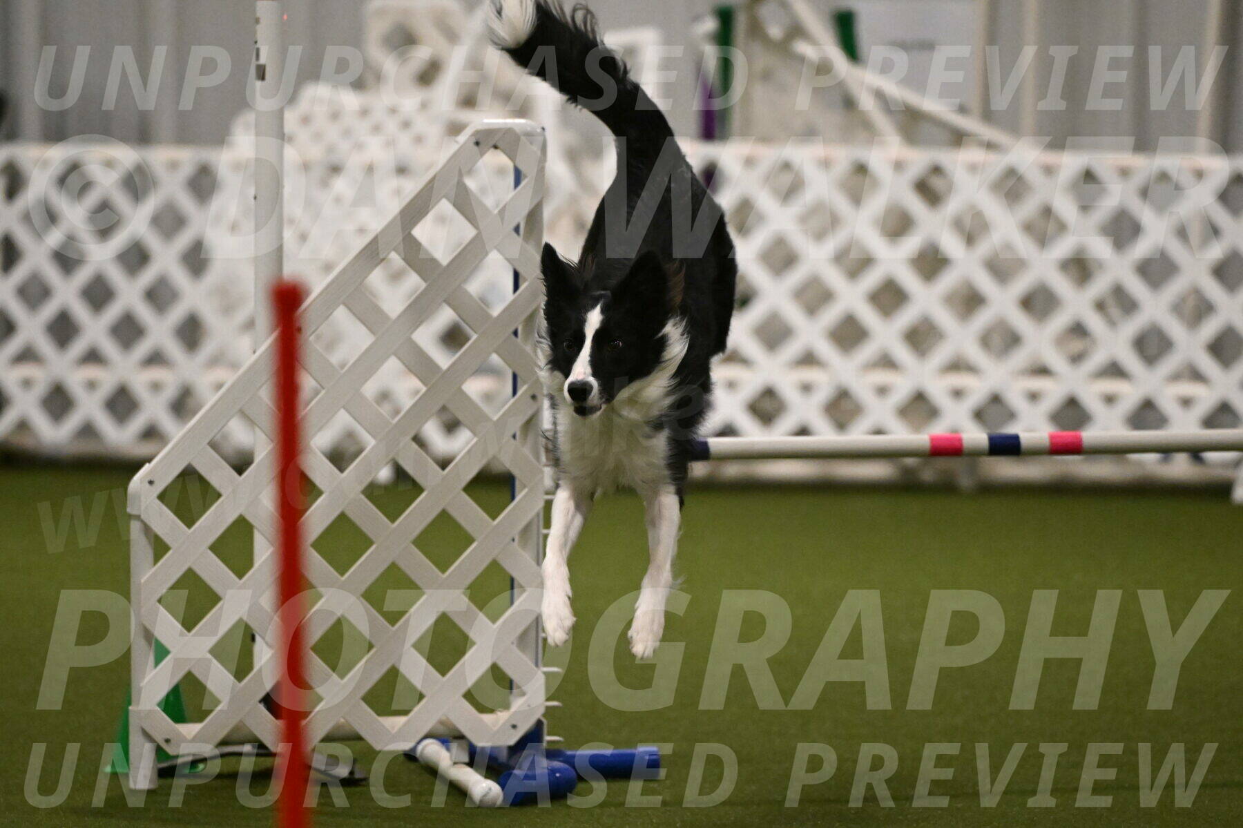 Keeper-Laurie-Wischt-03631