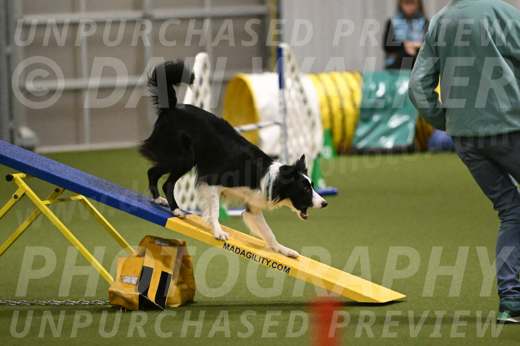 Keeper-Laurie-Wischt-03641