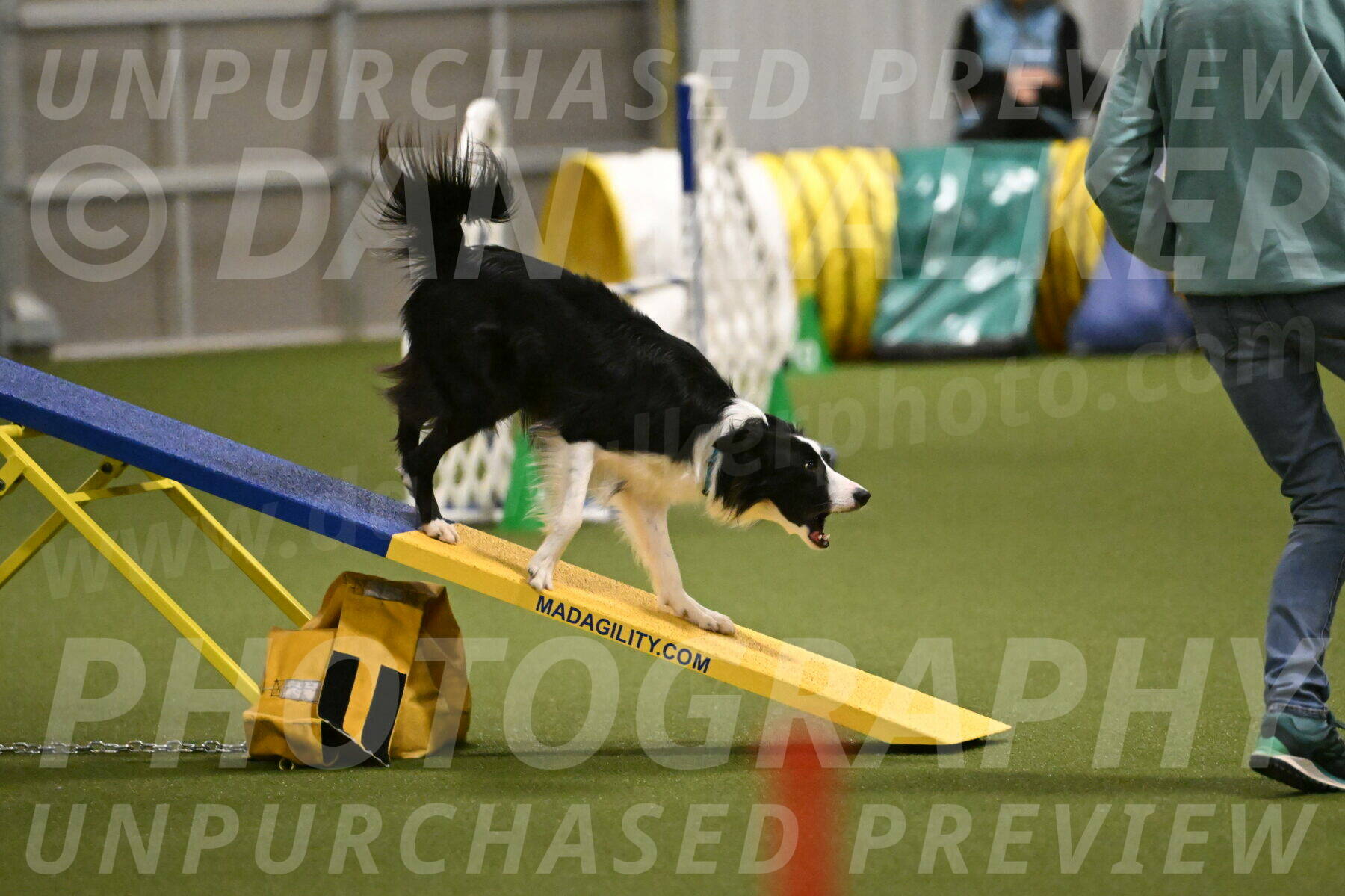 Keeper-Laurie-Wischt-03642