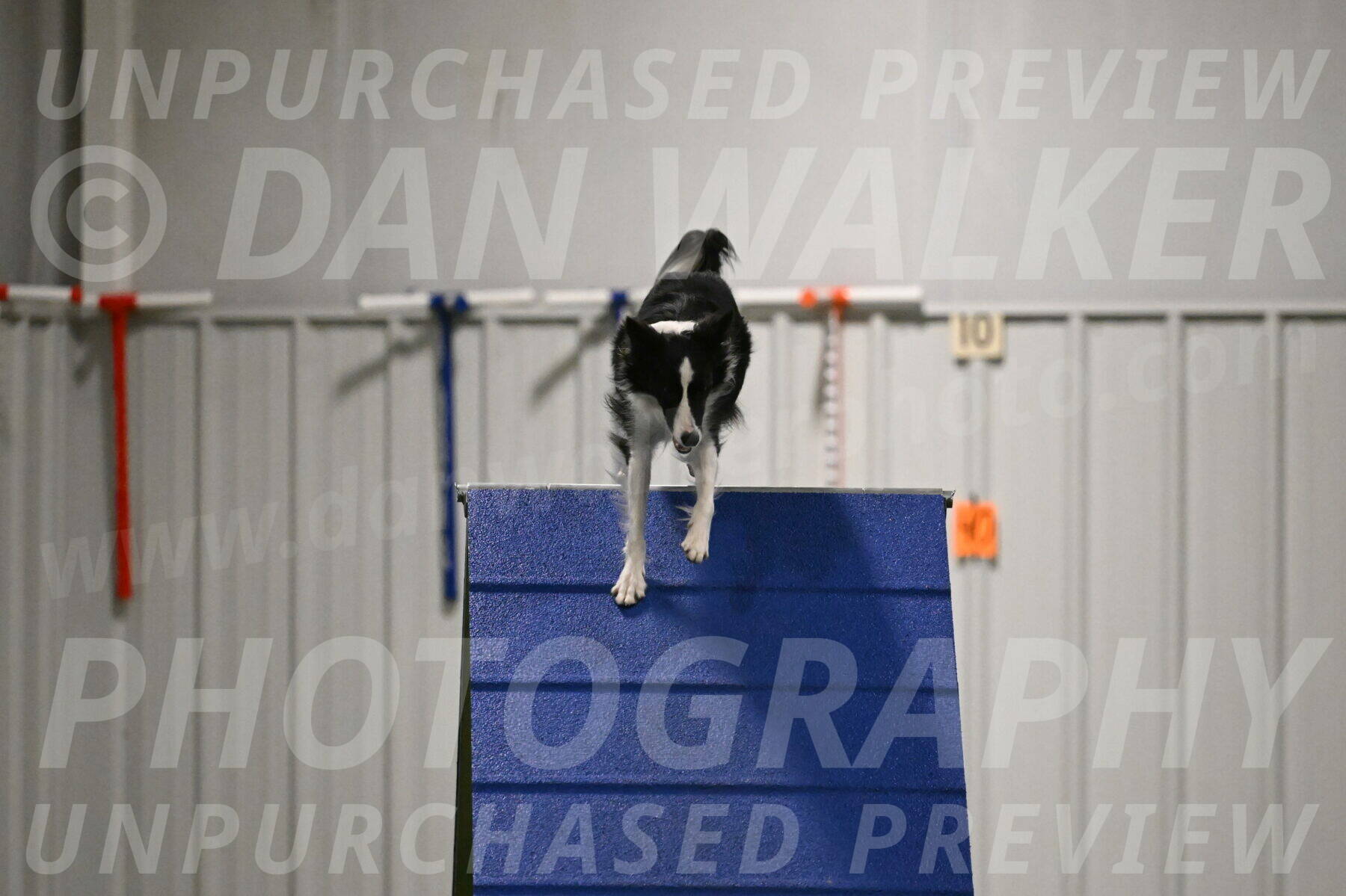 Keeper-Laurie-Wischt-03644