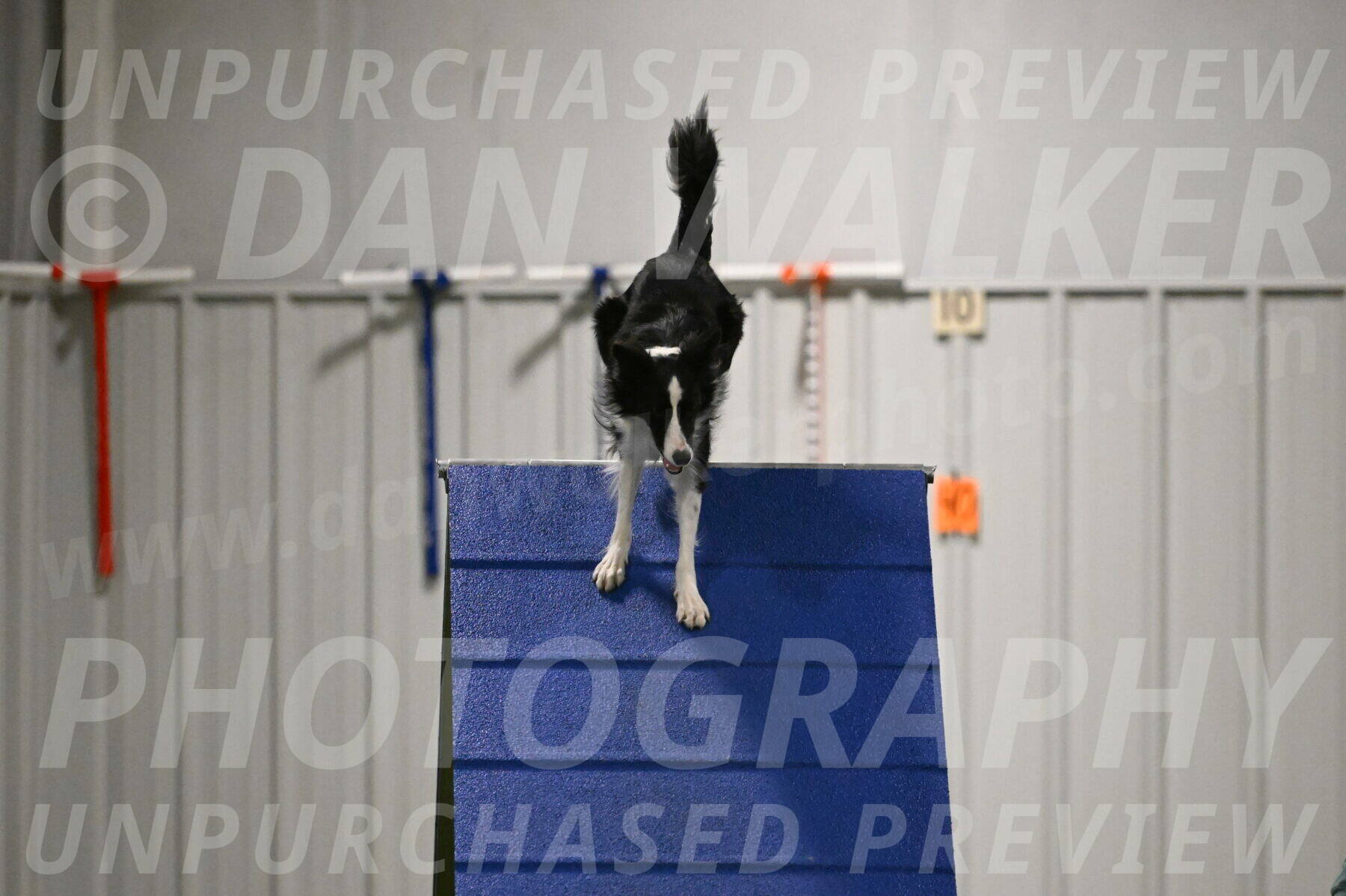 Keeper-Laurie-Wischt-03645