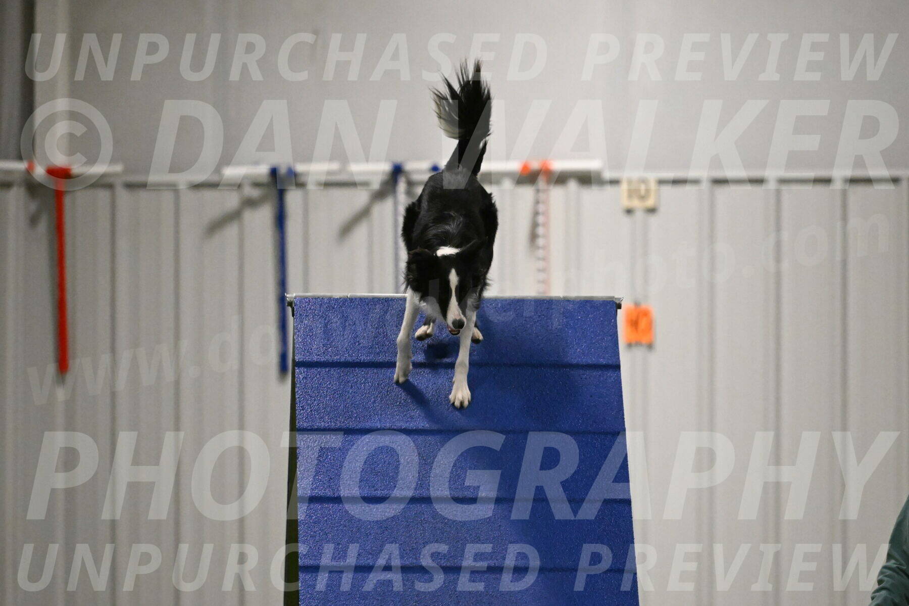 Keeper-Laurie-Wischt-03646