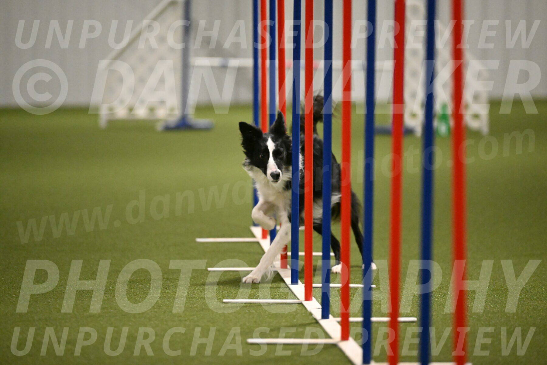 Keeper-Laurie-Wischt-03662