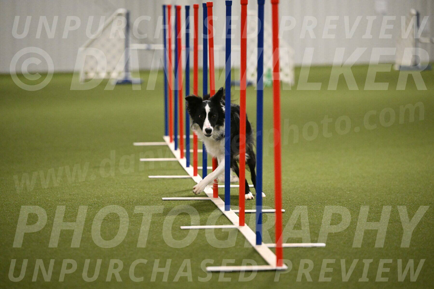 Keeper-Laurie-Wischt-03667