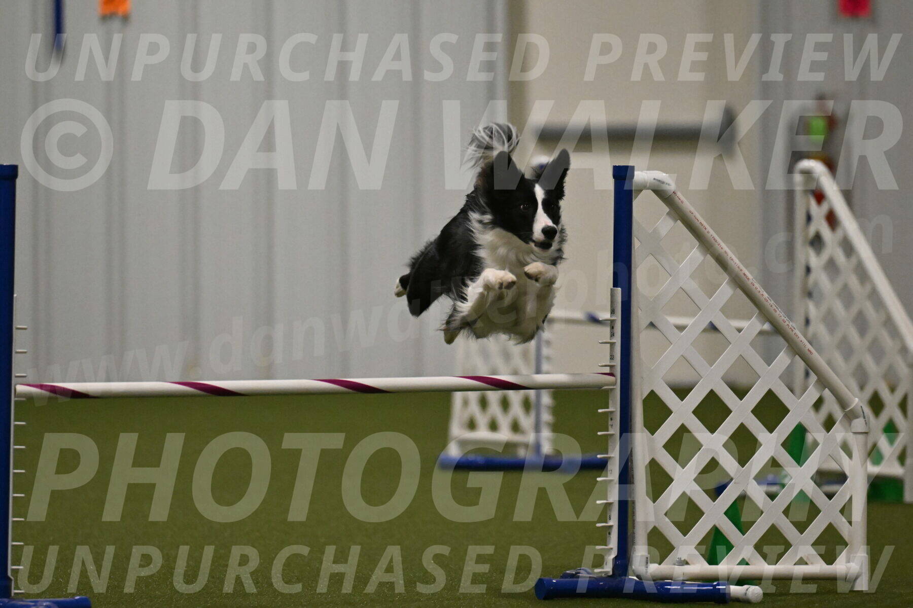 Keeper-Laurie-Wischt-03673