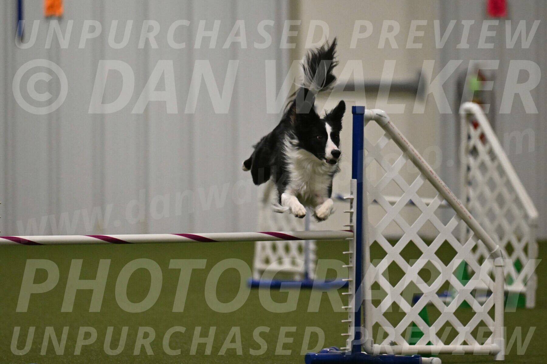 Keeper-Laurie-Wischt-03674