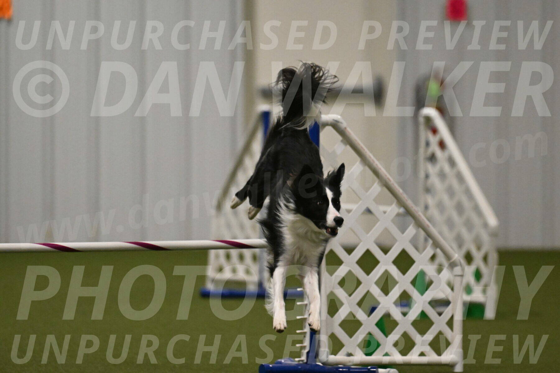 Keeper-Laurie-Wischt-03676